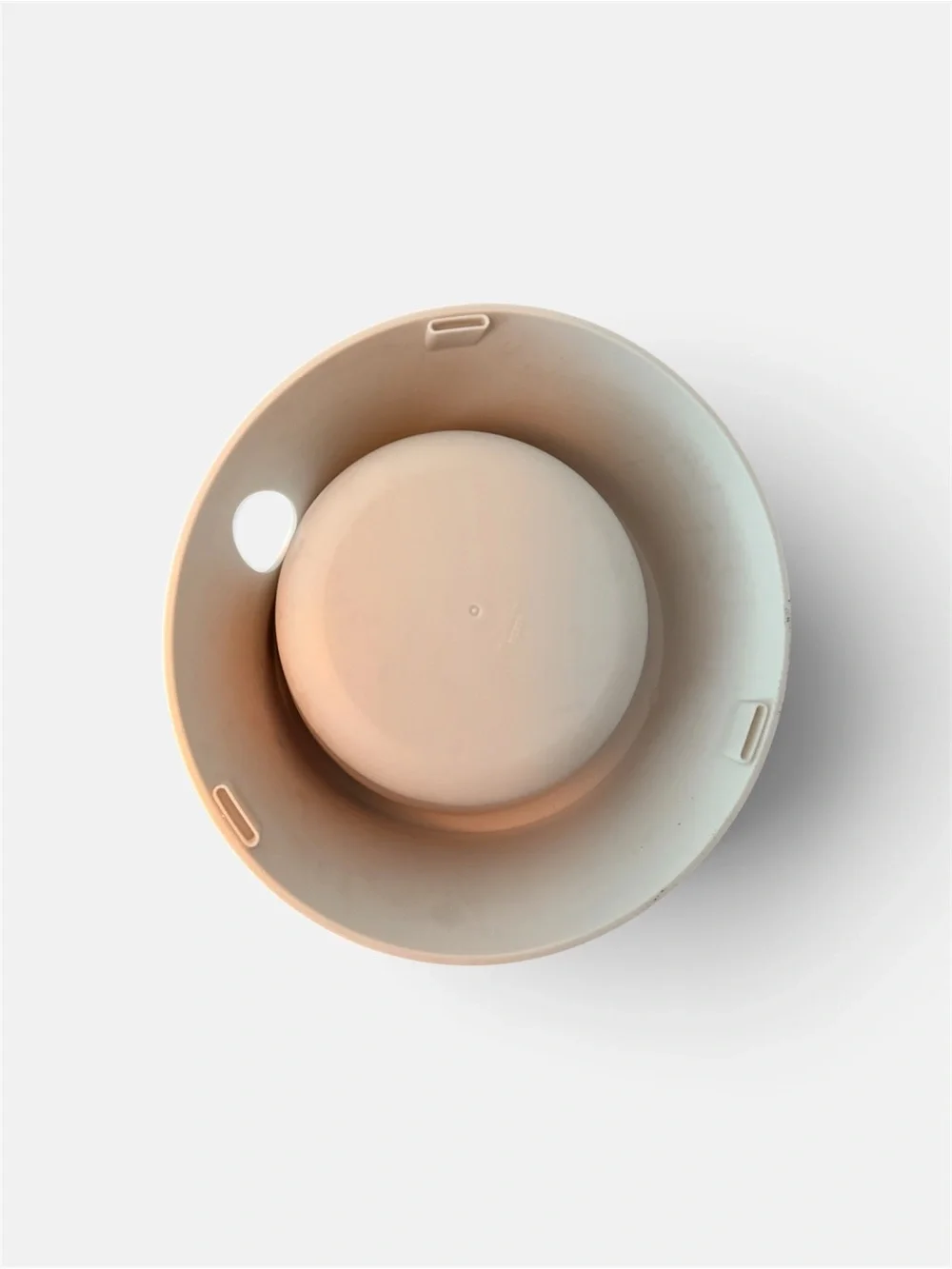 Alessi Set of 2 Stainless Steel Pet Bowls with White Silicone Base